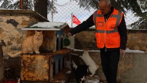 Elazığ'da sokak hayvanları için doğaya yem bırakıldı